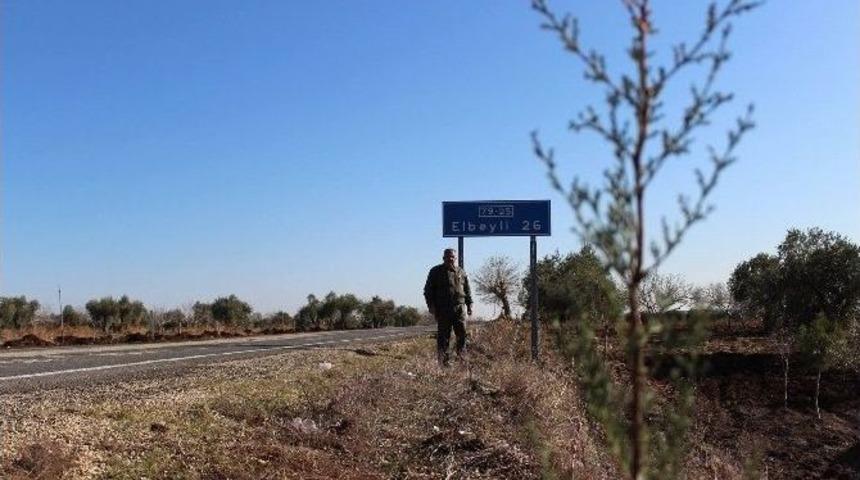 Kilis -elbeyli Karayoluna 3 Bin Adet Ağaç Dikimi Başladı