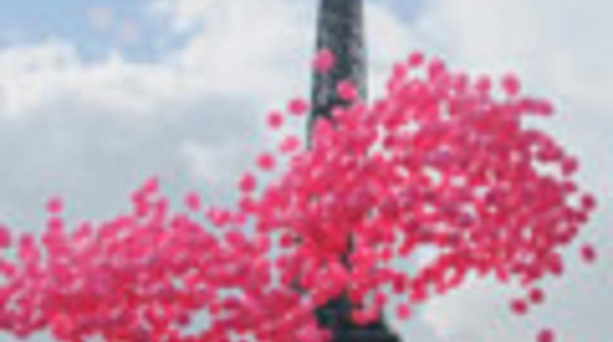 "Pinterest" Yeni Sosyal Trend 