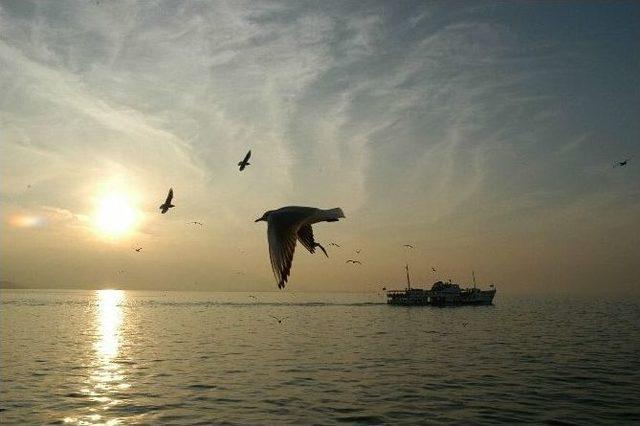 İzmir Körfezi’ne “yakın Markaj”