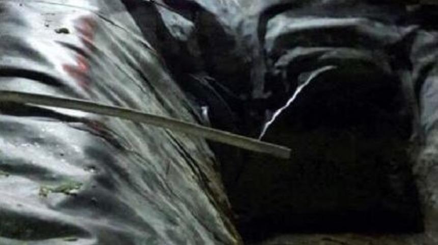 G&ouml;lete D&uuml;şen K&ouml;peğini Kurtarmak Isterken Boğuldu