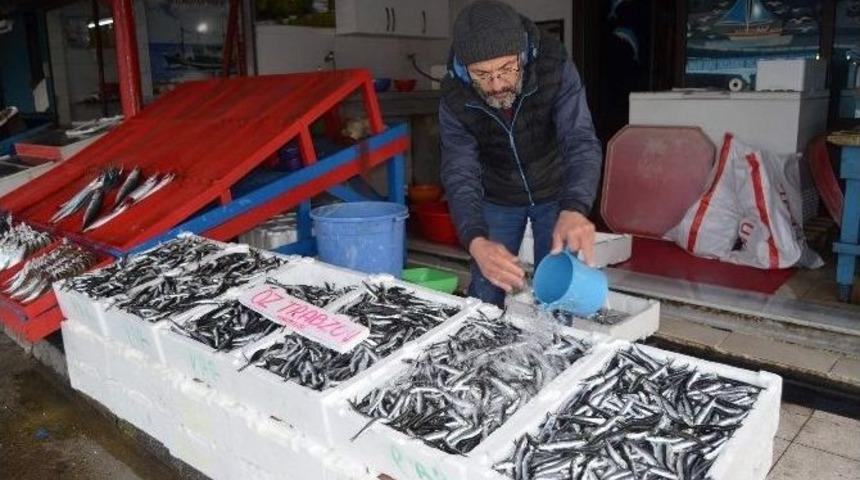 Hamsi&rsquo;nin Ateşi Bir T&uuml;rl&uuml; D&uuml;şm&uuml;yor