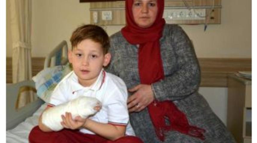 'pitbull' Cinsi K&ouml;peğin Sıldırdığı &Ccedil;ocuk Yaralandı