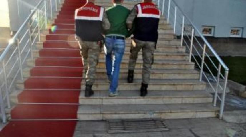 Bing&ouml;l'de Ter&ouml;r Operasyonu: 10 Kişi Tutuklandı