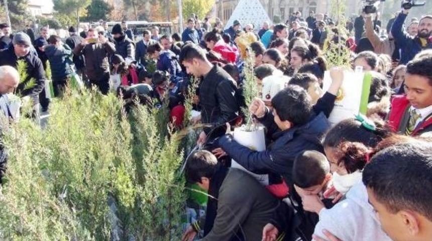 Şanlıurfa&rsquo;Da &Uuml;cretsiz Fidan Dağıtımında Izdiham