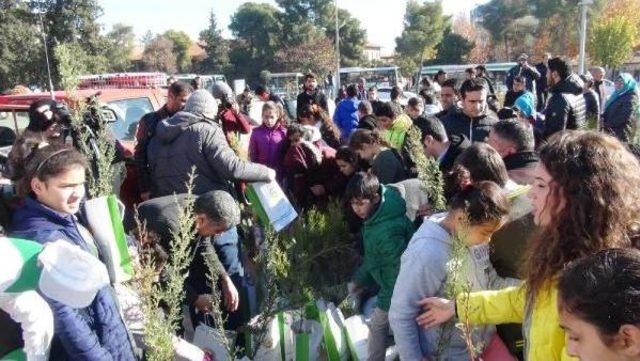 Şanlıurfa’Da Ücretsiz Fidan Dağıtımında Izdiham