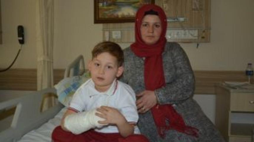 7 Yaşındaki &Ccedil;ocuk Pitbull Saldırısına Uğradı