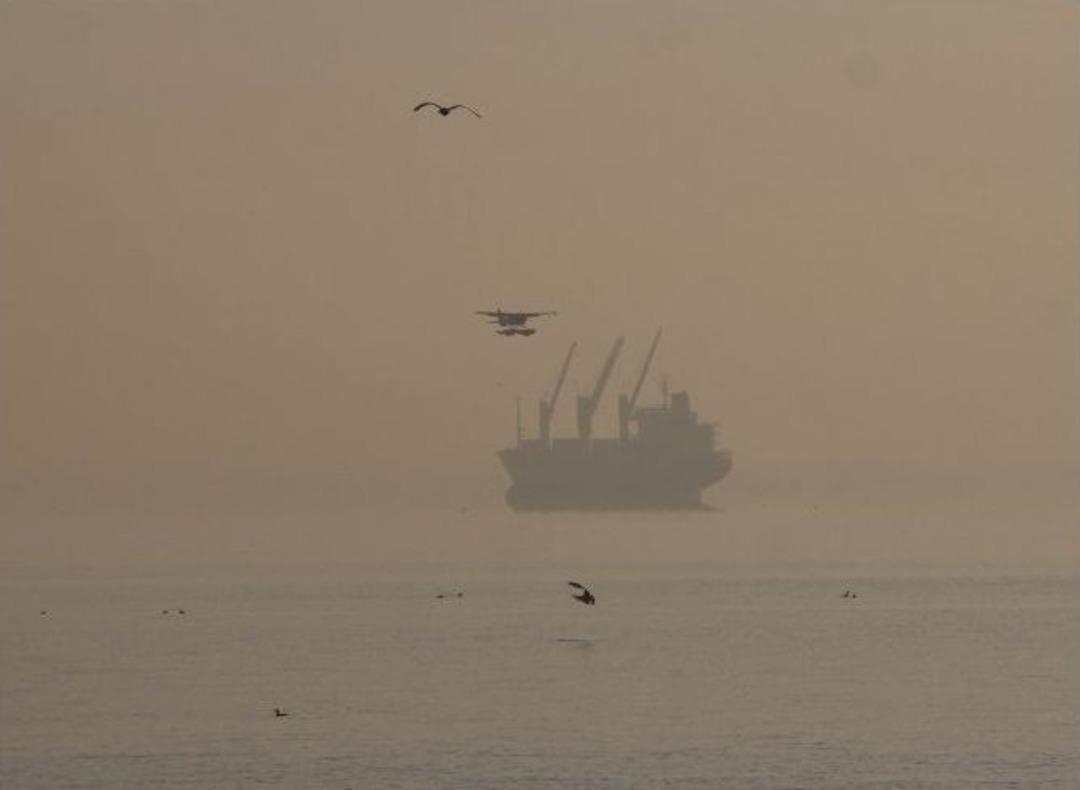 (&ouml;zel Haber) Yarım Ton Yakıt Denize Sızdı