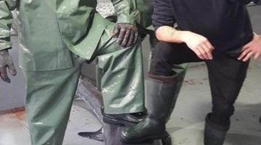 Dev K&ouml;pek Balığı Şaşkına &Ccedil;evirdi