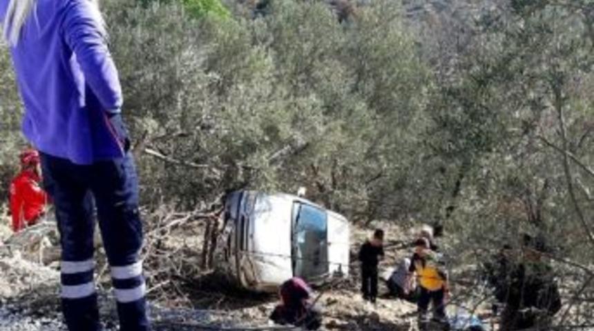 Bayan S&uuml;r&uuml;c&uuml; Zeytinlik Alana U&ccedil;tu