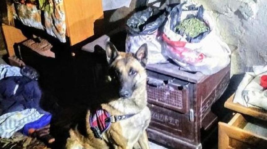 Denizli'de 2 Operasyonda 6 Kilo 287 Gram Esrar Ele Ge&ccedil;irildi