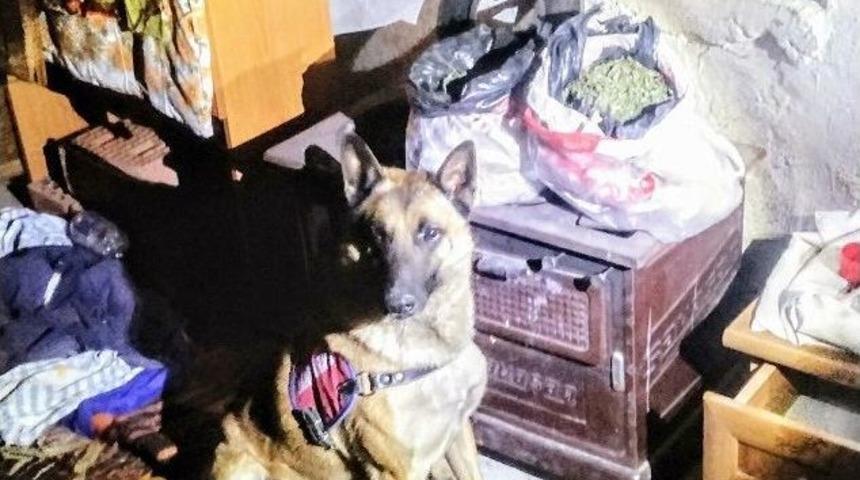 Soba İ&ccedil;indeki Uyuşturucuyu &rsquo;evlat&rsquo; Buldu