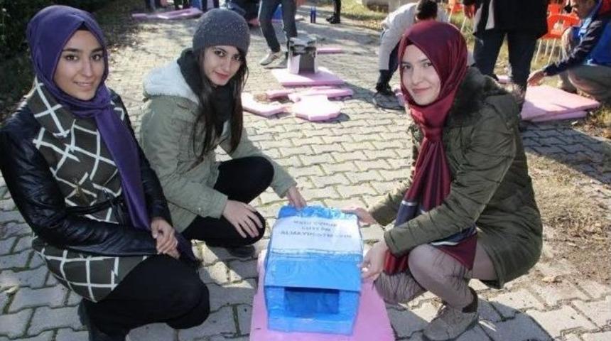 &Ouml;ğrencilerden Sokak Kedilerine Ev
