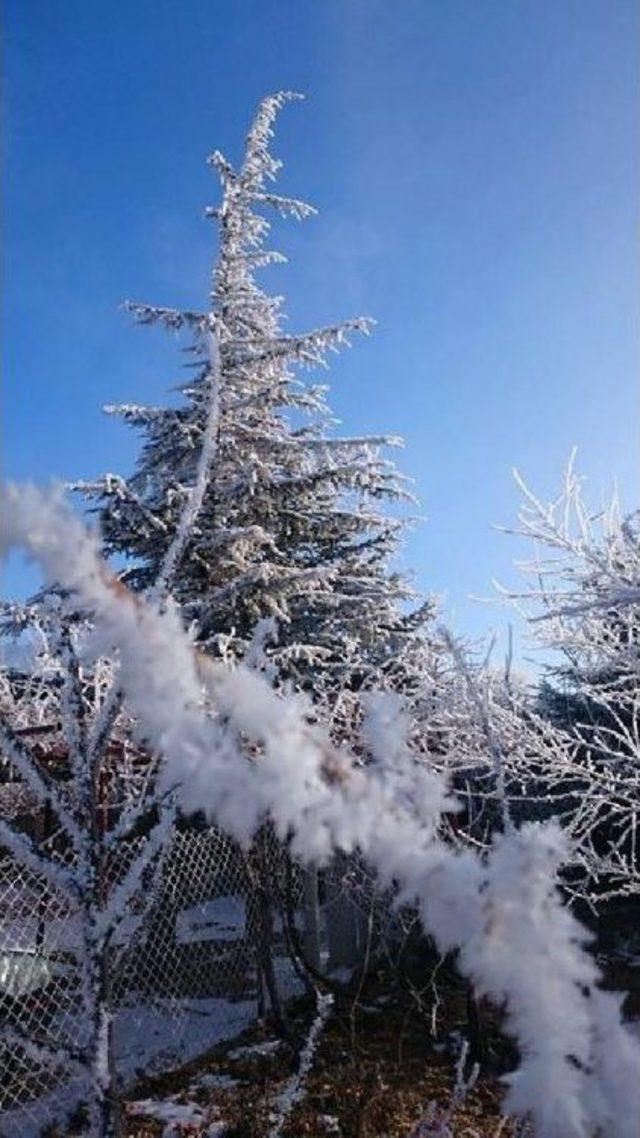 Niğde'de Kartpostallık Buzlu Görüntüleri