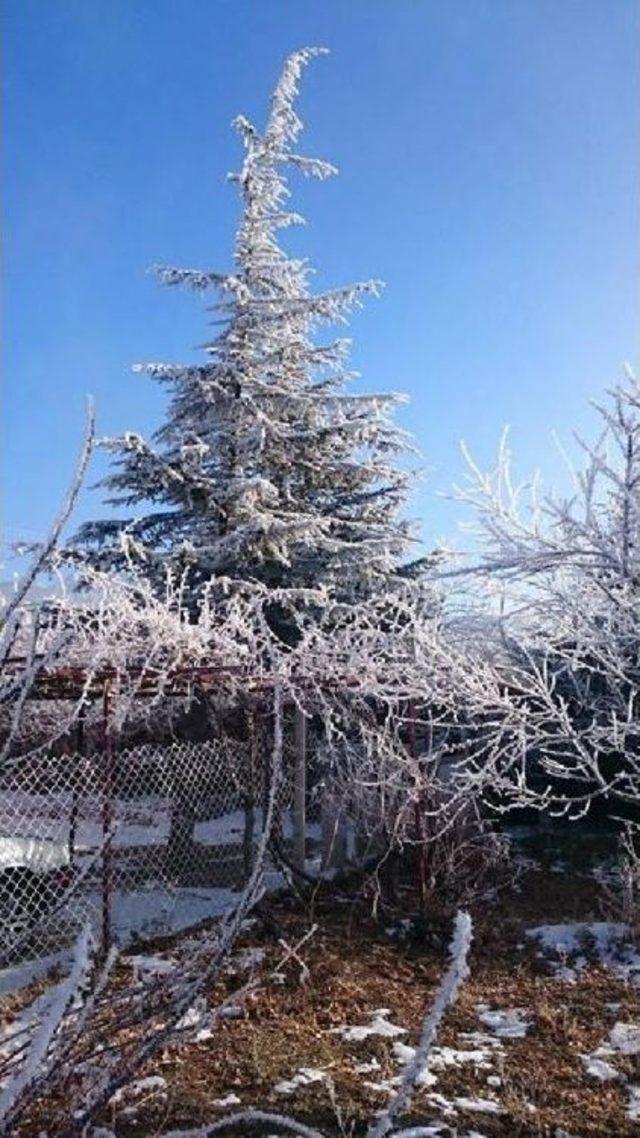 Niğde'de Kartpostallık Buzlu Görüntüleri