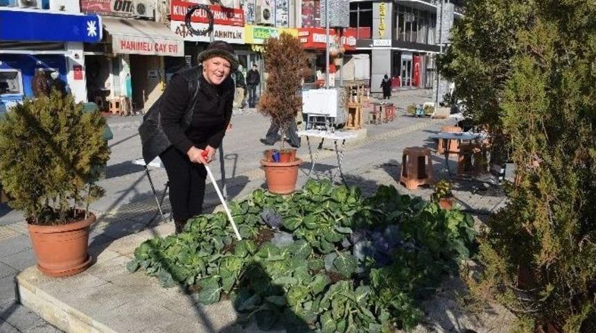 Caddede Organik Tarım