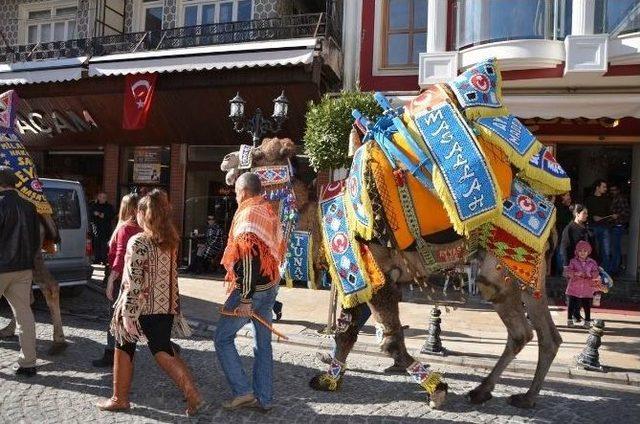 Develer Milas’ta Şehir Turuna Çıktı