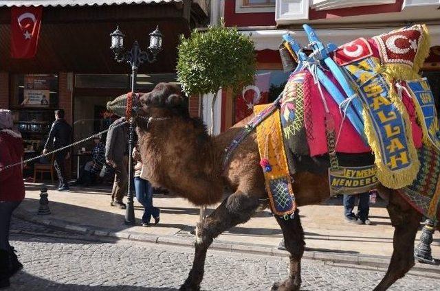 Develer Milas’ta Şehir Turuna Çıktı