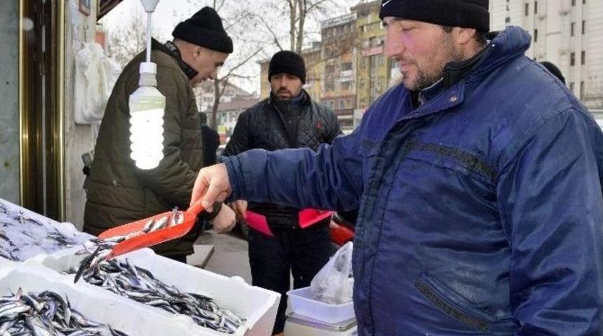 Kastamonu&rsquo;da Yakalanan 500 Ton Hamsi, Fiyatları D&uuml;ş&uuml;rd&uuml;
