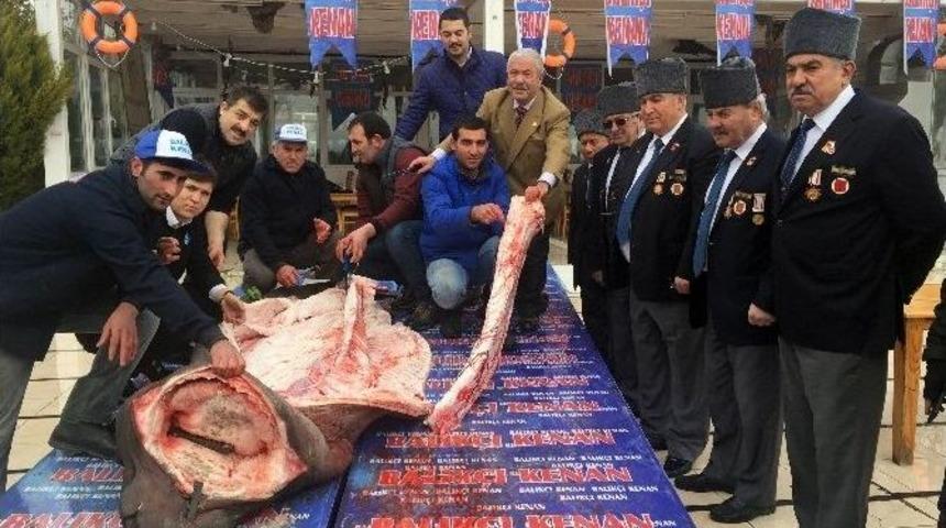 Ekmek Arası K&ouml;pekbalığı