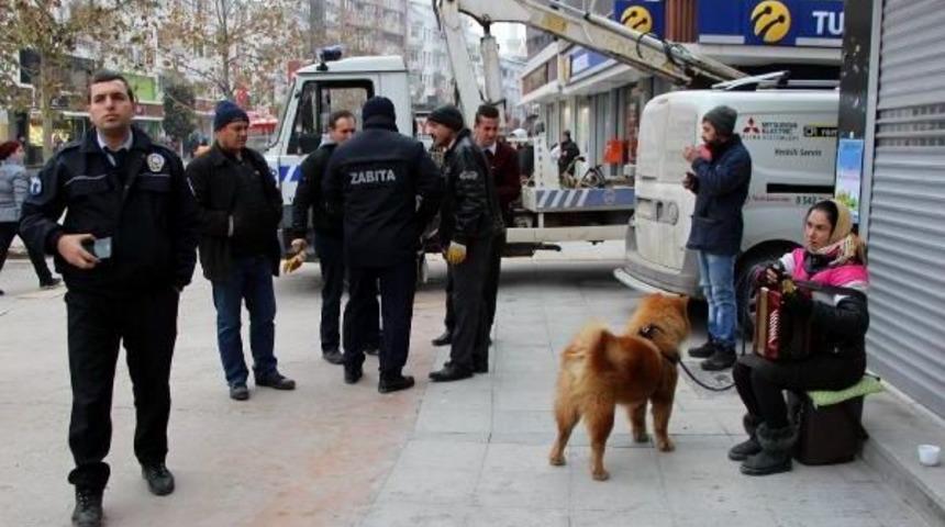 Sokak &Ccedil;algıcısı Romanyalı Sedra'ya &Ccedil;evredekiler Sahip &Ccedil;ıktı