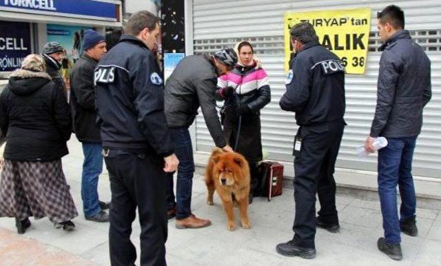 Sokak Çalgıcısı Romanyalı Sedra'ya Çevredekiler Sahip Çıktı