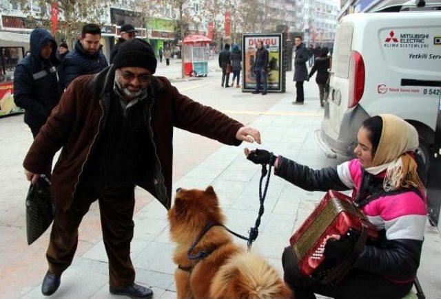 Sokak Çalgıcısı Romanyalı Sedra'ya Çevredekiler Sahip Çıktı