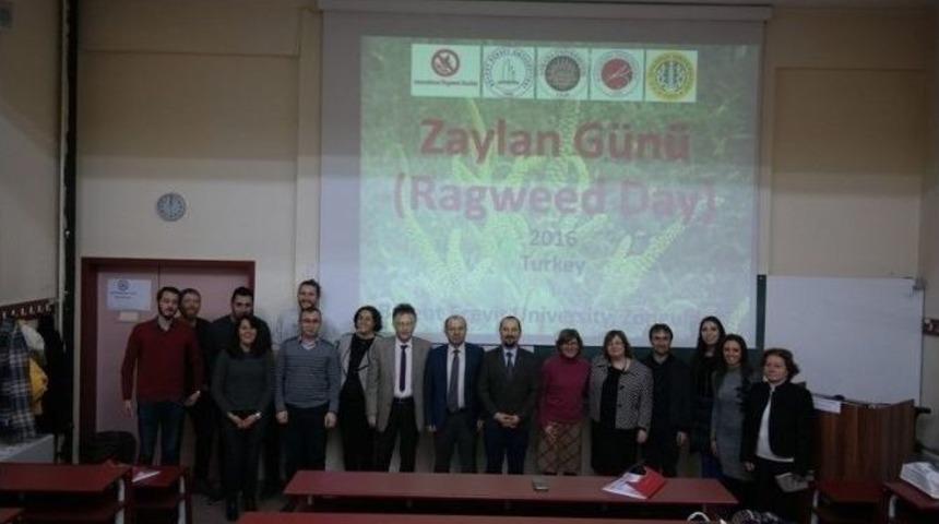 Be&uuml;&rsquo;de "istilacı Zeylan" Bitkisi Konuşuldu