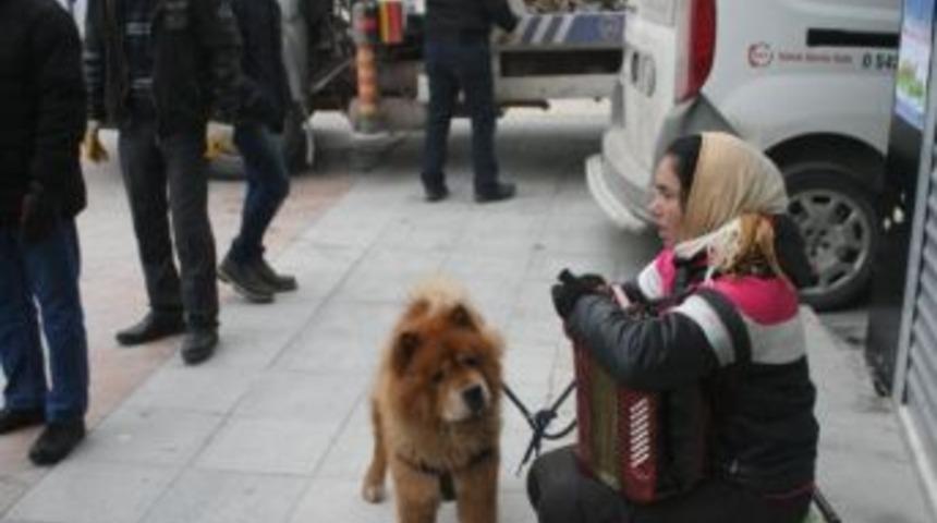 Bolulular Romanyalı Kadının M&uuml;zikleriyle Isındı