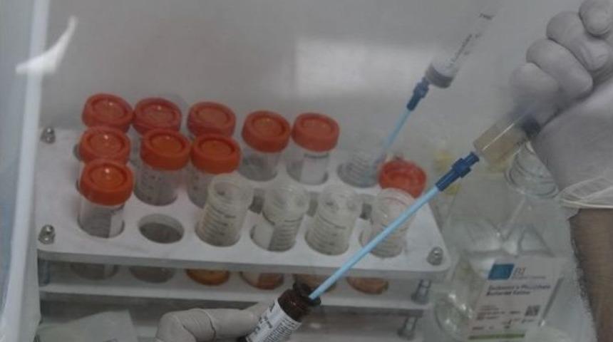 Diyabete Bağlı İyileşmeyen Yaralara "k&ouml;k H&uuml;cre" Tedavisi