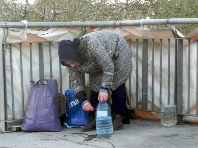 Sokak K&ouml;pekleri Poşetlerle Yiyecek Taşıyan Kadın Duyarsızlığa Tepkili 3