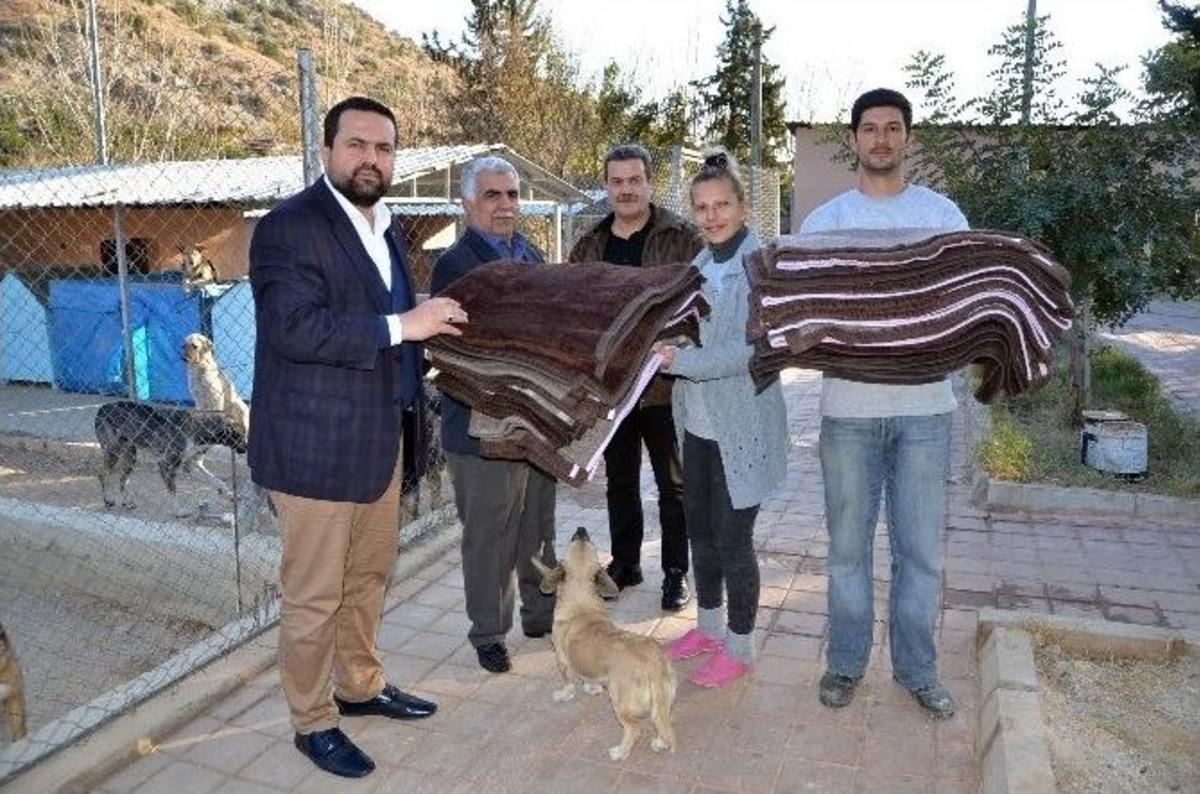 Kozan&rsquo;da Sokak Hayvanları, Hastane Battaniyeleri İle Isınacak