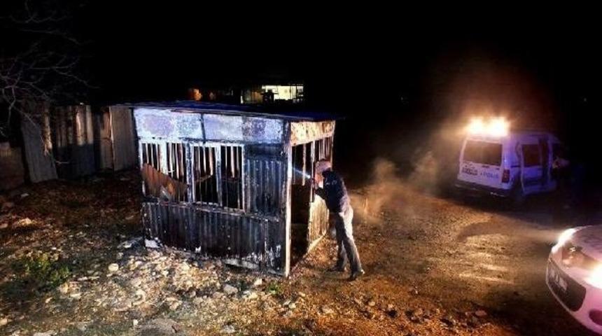 Konteynerde &Ccedil;ıkan Yangında &Ouml;ld&uuml;