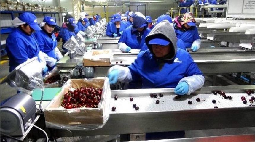 Gıda İhracat&ccedil;ıları Hava Kargo İstiyor