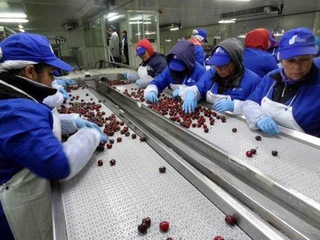 Gıda Ihracatçıları Hava Kargo Istiyor 1