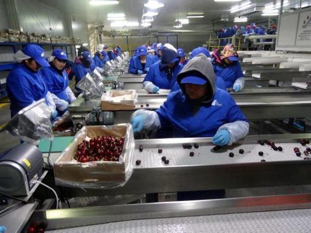 Gıda Ihracatçıları Hava Kargo Istiyor 3