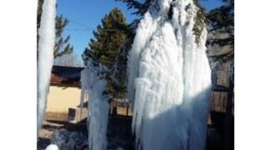 Beyşehir&rsquo;de Ağa&ccedil;lar Buz Tuttu
