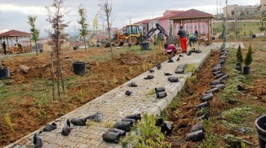 Sakarya Ve Kocaeli&rsquo;ne 8 Bin 253 Adet Fidan Dikildi