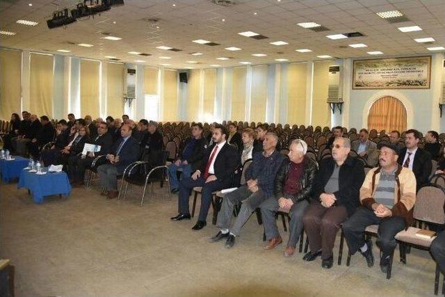 Milas Kent Konseyi, Çalışmalarıyla Marka Olma Yolunda