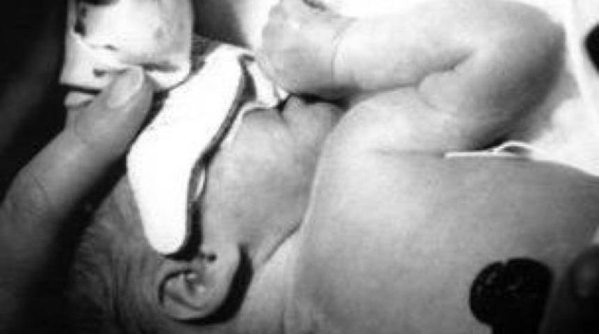 D&uuml;nyanın ilk hayatta kalan yedizleri