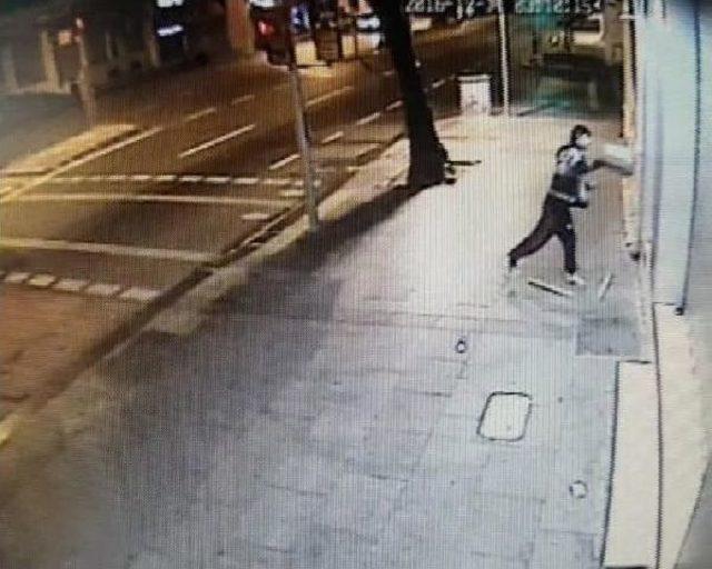 Alarm Çalmaya Başlayınca Kabloları Isırarak Susturdu 2