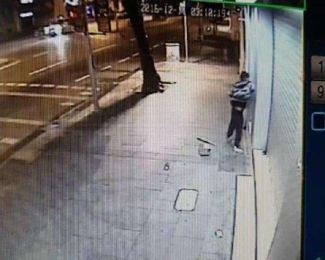 Alarm Çalmaya Başlayınca Kabloları Isırarak Susturdu 3