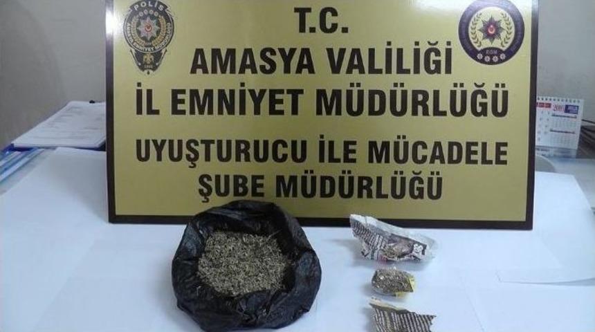 Yolcu Koltuğuna Bonzai Sıkıştırınca Yakalandılar