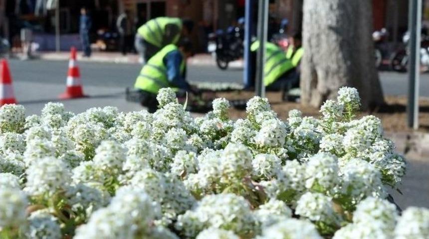 Mersin&rsquo;in Her Yanı &Ccedil;i&ccedil;eklerle Donatılıyor