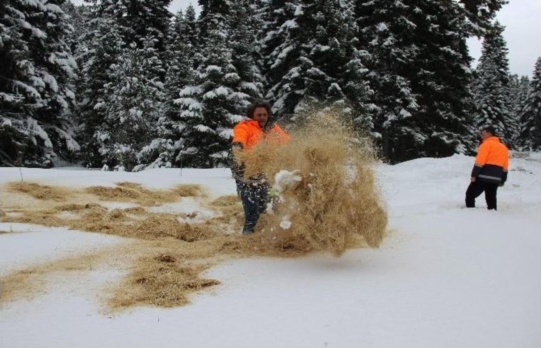 Karab&uuml;k&rsquo;te Yaban Hayvanları İ&ccedil;in Doğaya Yem Bırakıldı