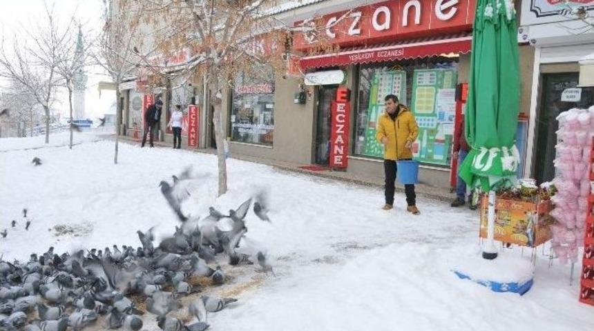 Boz&uuml;y&uuml;k&rsquo;te Kuşlar İ&ccedil;in Yem Bırakıldı