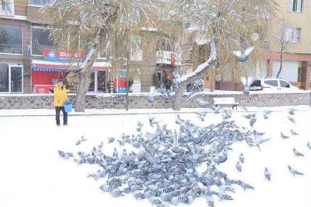 Bozüyük’te Kuşlar İçin Yem Bırakıldı