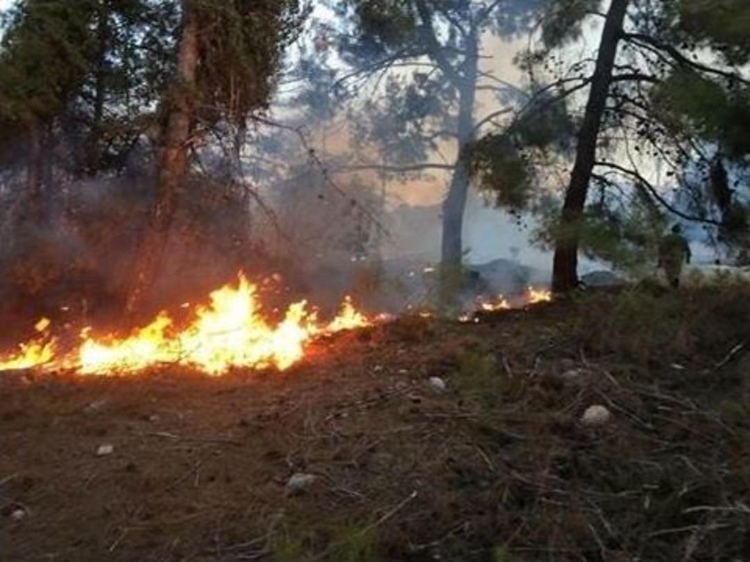 Milas&rsquo;ta Orman Yangını