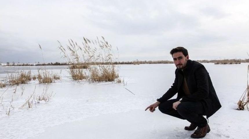 Ahlat&rsquo;taki &lsquo;kuş Cenneti&rsquo; Dondu