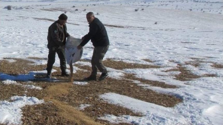 Elazığ&rsquo;da Yaban Hayvanları İ&ccedil;in Doğaya Yem Bırakıldı