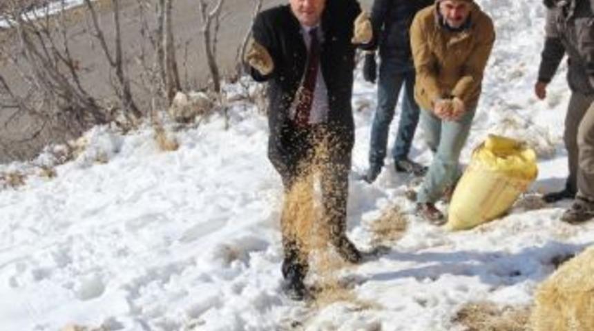 &Ccedil;emişgezek&rsquo;te Doğaya Yem Bırakıldı